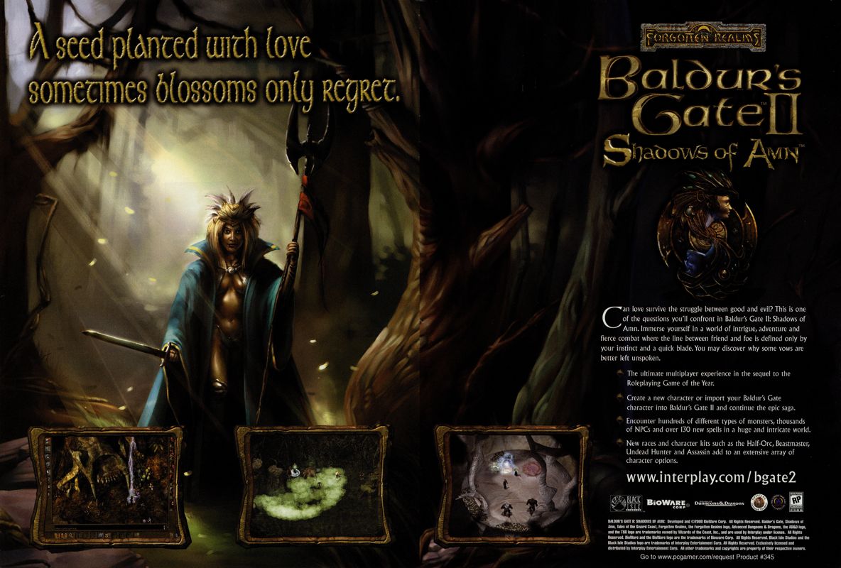 Baldur's Gate II: Shadows of Amn Magazine Advertisement (Magazine Advertisements): PC Gamer (USA), Issue 05/2000